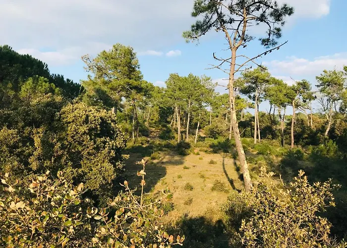 Maison Des Annees 1920 - A 150 M De L'ocean Et Proche Des Commodites - 4 Independants * 생장드몽